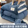 Colcha de Lana de Cordero 2026 Nueva Colcha de Algodón de Invierno Núcleo de Colcha Invierno Individual Dormitorio Otoño e Invierno Colcha Engrosada Cálida 10 jin