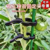 Clip Fijo para Pepinos y Tomates, Clip Fijo para Berenjena y Pimientos, Clip de Soporte para Fijación de Diámetro de Vara de Planta