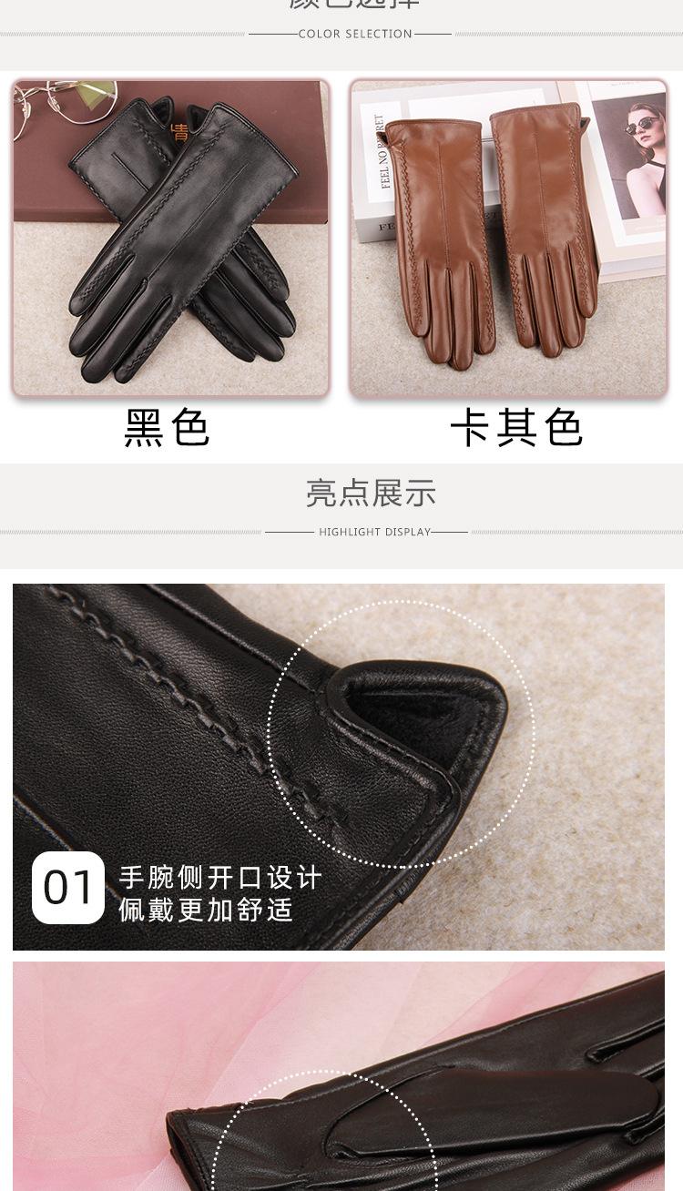双长城花详情图_02