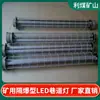 Equipo de Iluminación Intrínsecamente Seguro 36W Forma Larga Luz de Túnel Dgs36/127L Minería Antiexplosiva Luz LED para Túnel