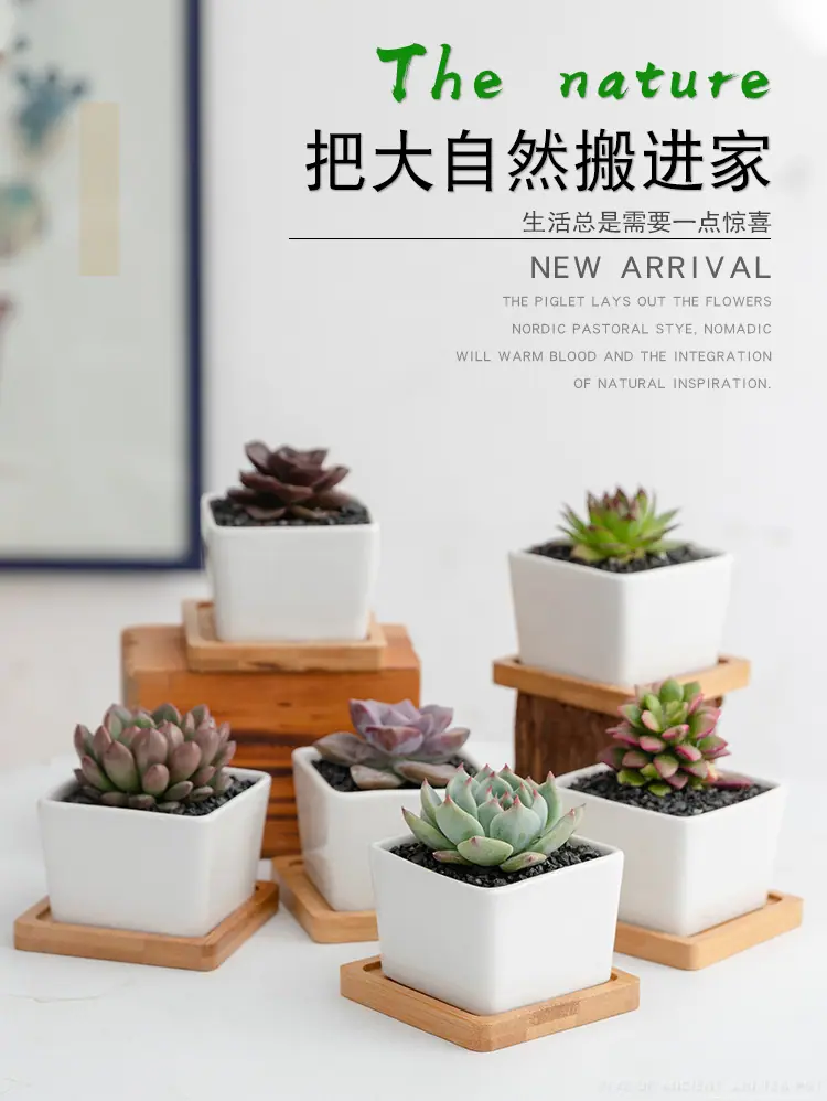 花盆7_01.jpg