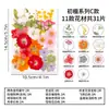 Materiais DIY de flores prensadas naturais para porta-retratos de flores prensadas feitos à mão, espécimes de plantas, marcadores de página de resina e kits de materiais