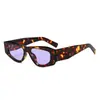 Nuevas Gafas de Sol de Moda Europea Americana Marco Pequeño Forma Retro Ojo de Gato Gama Alta Para Mujeres Celebridad de Internet Xi Yin Gafas de Sol Transfronterizas