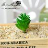 Cabeça de Flor Suculenta Lótus de Jade de Mil Mãos Suprimentos Criativos de Design DIY Parede de Plantas Flor Falsa Fornecimento Direto da Fábrica Verde Artificial