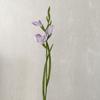 INS Estilo Artificial Flor Artificial Sentir Cola Macia Espada Única Orquídea Casa Mesa de Jantar Fotografia Paisagem Decoração Buquê Em Estoque