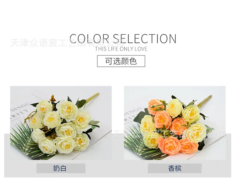 详情_02.jpg
