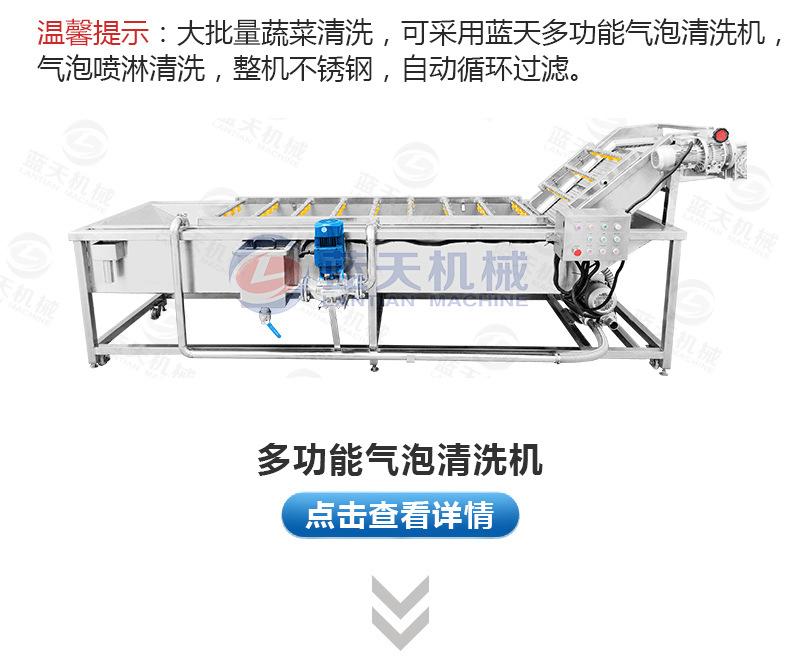 板蓝根烘干机_22.jpg