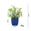 Venda quente transfronteiriça planta artificial planta artificial planta verde interior e exterior decorativo vaso de plástico eucalipto vaso pequeno