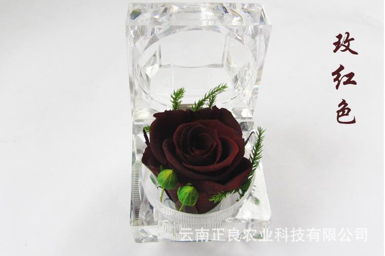 玫红