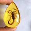Colgante de Ámbar con Espécimen de Insecto Real Ámbar Insecto Gota de Agua con Forma de Insecto Escorpión Mariposa Abeja Flor Ámbar Transmisión en Vivo Venta al por Mayor