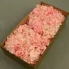 Flor Mágica Flor Eterna AB Anna Hortênsia 100g Aniversário Real Flor Diy Material Flor Seca Decoração Namorada Presente