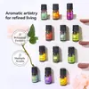 Comércio Exterior Transfronteiriço Aromaterapia Essencial Óleo Essencial Solúvel em Água Sem Chama 5ml Purificador de Ar Umidificador Difusor Fragrância de Longa Duração Óleo Essencial