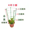 Soporte para Flores para Trepar Enredaderas, Varilla de Soporte para Árbol del Dinero Epiphyllum, Marco Extensible de Pinza de Cangrejo para Trepar Orquídeas Buganvilias Ampliado y Fijo