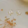 Pendientes de Flor de Fuegos Artificiales Diamante Super Flash Aguja de Plata Estilo Fresco Nicho Coreano Pendientes de Diseño Personalizado de Moda