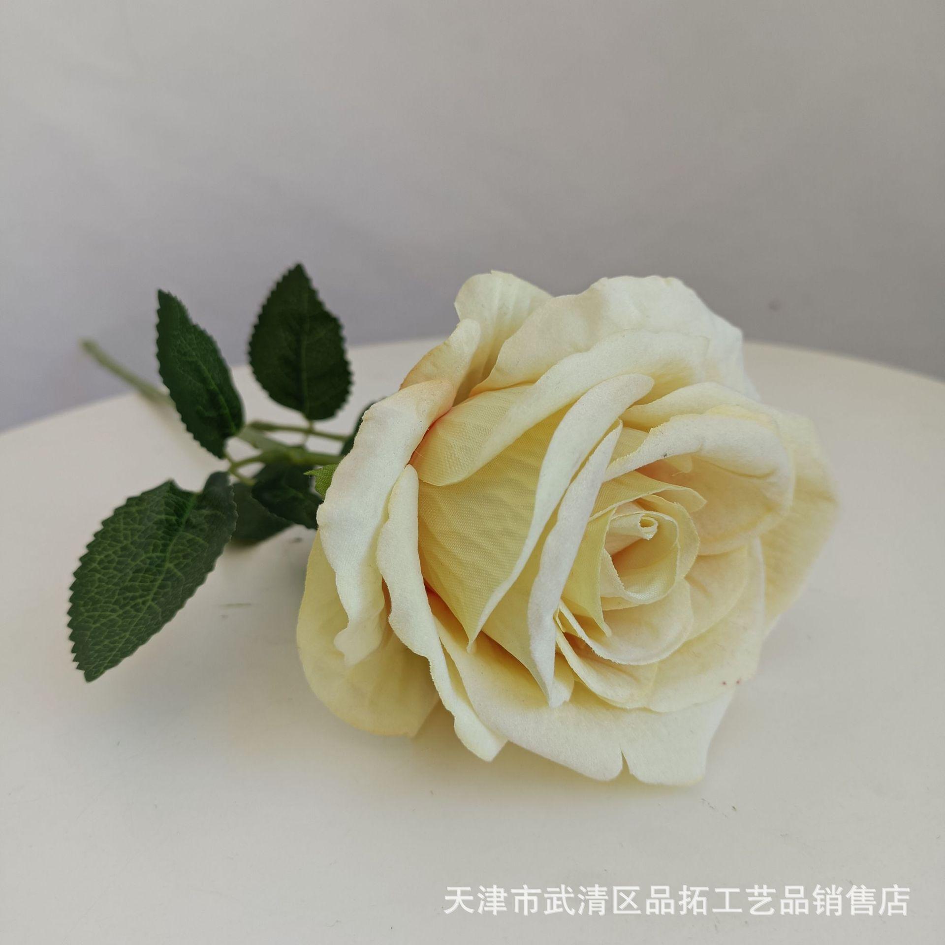 e9a2cab5474d140fd6661039b68141