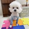 Pantalones a Prueba de Polvo para Pasear Gatos y Perros Pequeños y Medianos, Pantalones de Cuatro Patas a Prueba de Suciedad para Todas las Estaciones para Perros Pequeños y Medianos