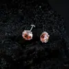 Aleación de Titanio Zirconio Brillante Sándwich Corte Rosa 6 mm/8 mm Zirconio Brillante 0.9 Diente Broca de Repuesto Accesorios