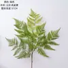 Passo Nuvem Samambaia Tigre Flor Artificial Fabricante Flores Artificiais Plantas Verdes Atacado Decoração de Casamento Artesanato Estilo Ins Transfronteiriço