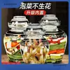 Frascos de vidrio estilo Sichuan para encurtidos, engrosados y con tapas interiores, para uso doméstico, adecuados para encurtir y conservar, incluyendo frascos para chucrut y otras verduras encurtidas