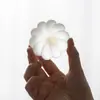 Tapa y Base de Cristal Transparente Esmerilado con Forma de Calabaza para Taza de Té para Juego de Té Kung Fu, Accesorio para el Hogar
