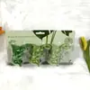 Amazon Villano de Plantas Soporte Hidropónico para Plantas Compañero de Propagación de Plantas Florero de Joyería