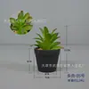 Combinação de Plantas Suculentas em Vaso Decoração de Casa Plantio Verde Janela de Flor Janela de Canto Mesa de Centro Conjunto de Mesa Arte com Flores Pequena Planta em Vaso