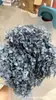 [Niebla Natural Hortensia] Flor Eterna Flor Seca Hortensia Anna Hortensia Lobular Material para Boda DIY Venta al por Mayor