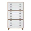 Gabinete de Almacenamiento para Dibujos de Ingeniería Civil No. 0 No. 1 Gabinete de Dibujo Base Película para Pintura y Caligrafía Material de Almacenamiento Cerrado