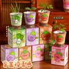 Caixa Surpresa de Planta em Vaso para Jardim de Infância Sementes de Flores de Plantas Infantis Decorações de Plantas Verdes para Desktop Pequenos Presentes Criativos Venda por Atacado