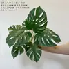 Planta Táctil Real Hoja de Calathea Caparazón de Tortuga Hotel Restaurante Exhibición Paisaje de Palmera Decoración de Pared Verde