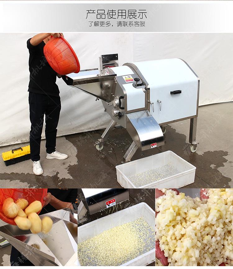 TS-Q180D-大型切丁机-详情页(750px)_02.j