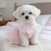 Roupas para Cachorro, Saias de Gaze, Fantasias de Gato, Fantasias de Princesa, Saias Rodadas Rosa de Renda de Fada, Estilo Fada