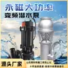 Bomba Submersível Axial de Fluxo Grande com Ímã Permanente em Aço Inoxidável com Conversão de Frequência para Prevenção de Inundações, Drenagem de Águas Residuais, Drenagem de Túneis de Engenharia e Irrigação