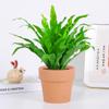 Dropshipping Helecho Nido de Ave Helecho en Maceta Follaje de Interior Planta Verde Flor Sala de Estar Oficina Escritorio de Empresa Planta Novedad