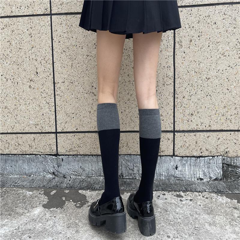 IMG_5501_副本_副本