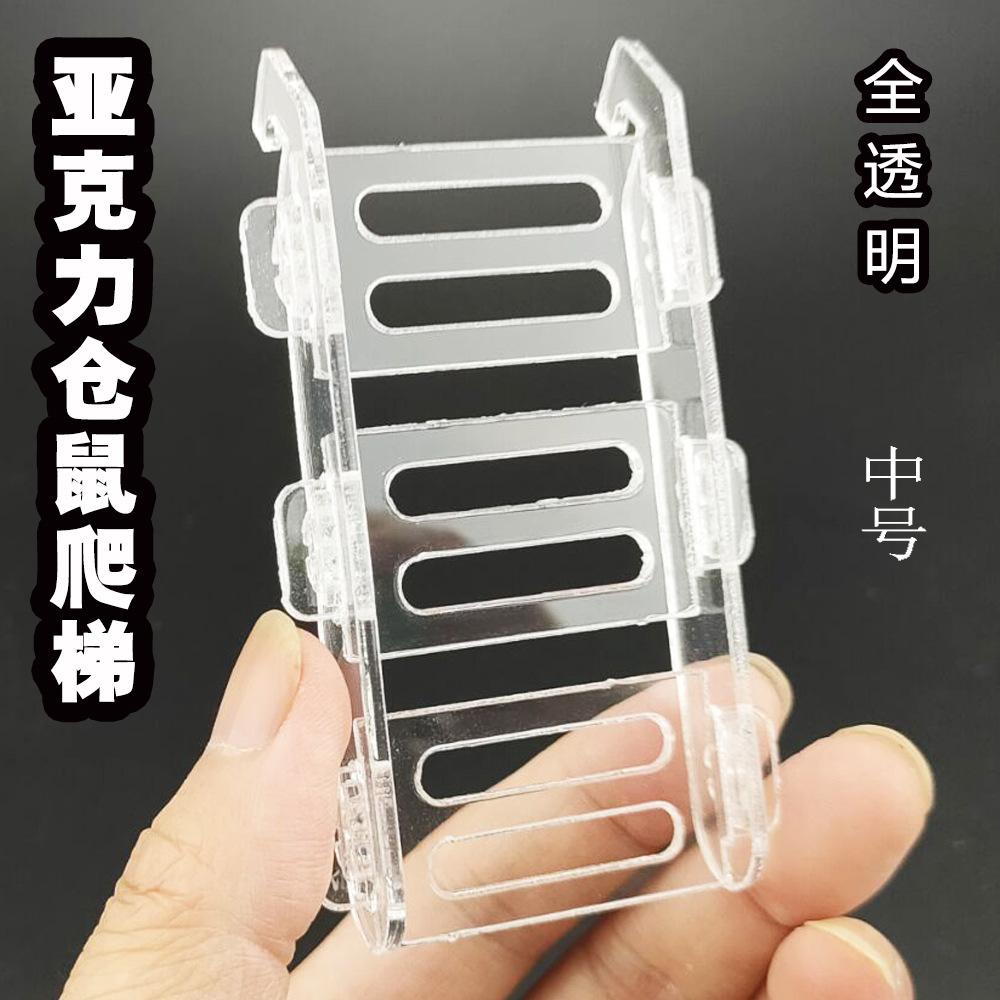 中.jpg