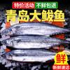 [Peso Líquido 2,5kg Benefícios] Cavala Grande de Qingdao Cavala Fresca Congelada Frutos do Mar Frescos Peixe Cavala Cavala Recheada Segmentos de Cavala