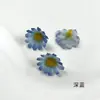 Cabezas de flores de margarita mini simuladas para accesorio de cabello DIY y material para ropa, accesorios de flores artificiales, materiales para tocados de flor para pasador, adornos pequeños