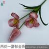 Tulipa Florida de Três Flores e Duas Hastes Tulipa Florindo com Cinco Flores Decoração para Sala de Estar de Casa Flor Artificial Flor para Arranjo de Casamento Flor de Seda