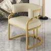 Silla Sofá de Lujo Sencillo para el Hogar Silla de Ocio para Apartamento Pequeño Sala de Estar Sofá Individual Tocador de Dormitorio Silla de Maquillaje