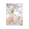 Pintura decorativa nórdica simple de color cálido flor tulipán rosa planta rama flor sala de estar sofá mural sin marco