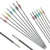 Eixos de Flecha de Fibra de Vidro 6mm para Tiro com Arco, Pontas de Flecha, Penas de Borracha, Arcos Recurvos, Arcos Compostos, Arcos Tradicionais, Treinamento Competitivo