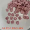 Colcha Fijada Flor Pequeña Flor Decorativa Flor de Posicionamiento Encaje Soluble en Agua Flor Bordada Flor Clavada a Mano Accesorios de Flor