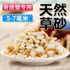 Arena de Mar Sin Lavado Arena Especial para Cangrejos Ermitaños Pasto Acuático Piedra Tortuga Puesta Fondo Arena de Fondo para Acuario Pura Arena de Fondo para Cangrejos Arena Movediza Natural