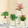 Decoración de Escritorio Simple y Creativa con Plantas Verdes y Flores Nórdicas para Oficina y Sala de Estar