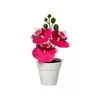 Mini 3 orquídeas artificiales Phalaenopsis en macetas aterciopeladas, suministro de exportación directa, flores artificiales de tacto realista, bonsái, accesorios para fotografía