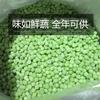 Youzai Alimentos Frijoles Verdes Congelados Rápidamente, Granos de Frijol Verde Congelados, Frijoles Verdes Dulces, Verduras Frescas Congeladas Rápidamente, Venta al por Mayor desde el Fabricante