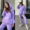 Nuevo traje deportivo de dos piezas de moda para mujer, de invierno, comercio exterior, transfronterizo, urbano, casual, con felpa, suministro al por mayor para mujeres