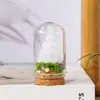 Adorno de árbol de Navidad de cristal natural transfronterizo, espécimen de cristal blanco en una botella de vidrio, decoración de escritorio navideña, regalo navideño