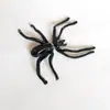 Brincos de tarraxa exagerados e engraçados em estilo coreano populares em boates, usados na frente e atrás, brincos de aranha, joias de Halloween